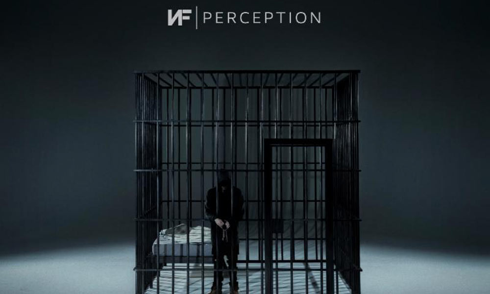 nf-perception-video