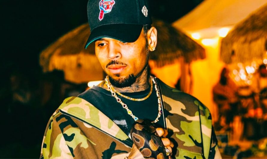 Chris Brown Files $500M Lawsuit Against Warner Bros Over Documentary Claims